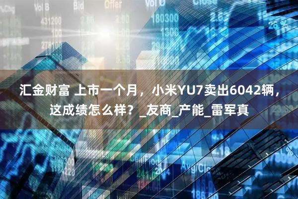 汇金财富 上市一个月，小米YU7卖出6042辆，这成绩怎么样？_友商_产能_雷军真